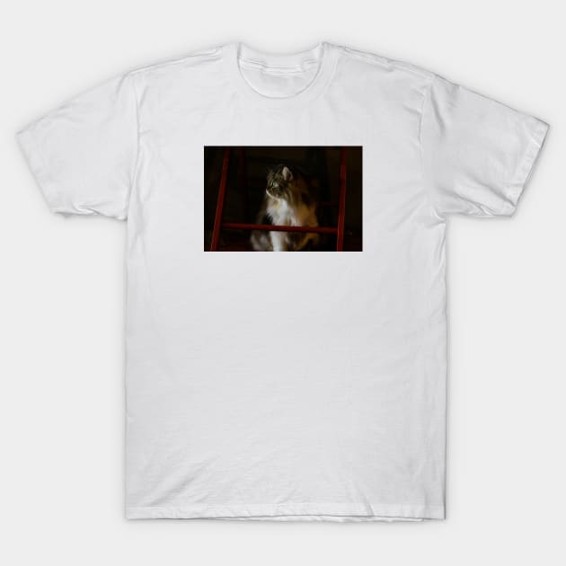 Candid Cat T-Shirt by Gun&One